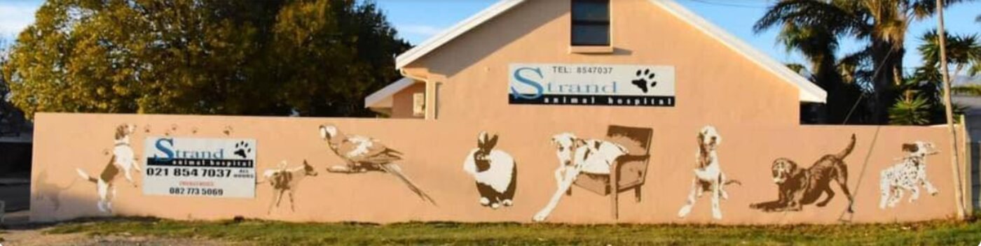 Strand Animal Hospital building on Da Gama Street, Strand