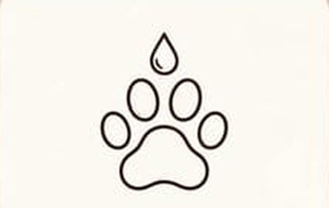 Small and exotic pets icon